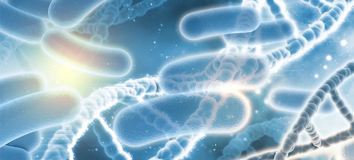 Carotenoides en la Microbiota Intestinal